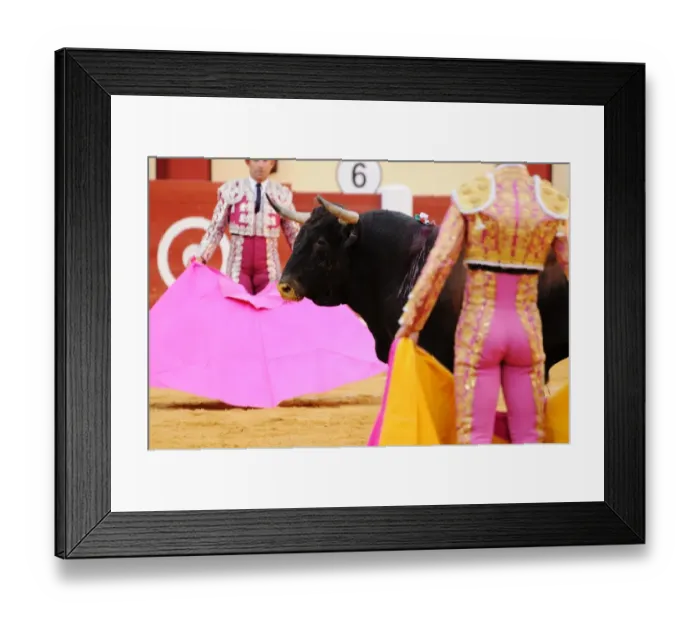 Framed Print : Bullfighting, Matadors with capes, fighting bull in first stage of fight, where bull is tested after entering bullring Framed Print : Bullfighting, Matadors with capes, fighting bull in first stage of fight, where bull is tested after entering bullring