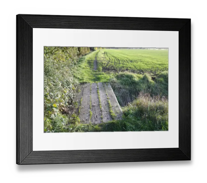 Framed Print : Footpath with footbridge over ditch, at edge of arable field, Bacton, Suffolk, England, october Framed Print : Footpath with footbridge over ditch, at edge of arable field, Bacton, Suffolk, England, october