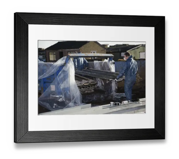 Framed Print : Workers removing agricultural building roofing sheets containing asbestos Framed Print : Workers removing agricultural building roofing sheets containing asbestos