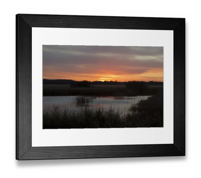 Framed Print : View of reedbed pool at sunset from West Hide, Minsmere RSPB Reserve, Suffolk, England, november Framed Print : View of reedbed pool at sunset from West Hide, Minsmere RSPB Reserve, Suffolk, England, november