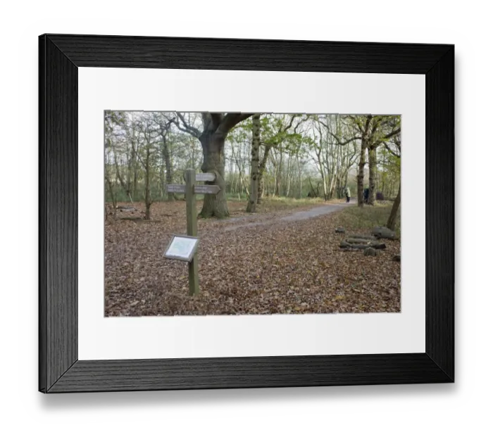 Framed Print : Direction sign and map on woodland path, Minsmere RSPB Reserve, Suffolk, England, november Framed Print : Direction sign and map on woodland path, Minsmere RSPB Reserve, Suffolk, England, november