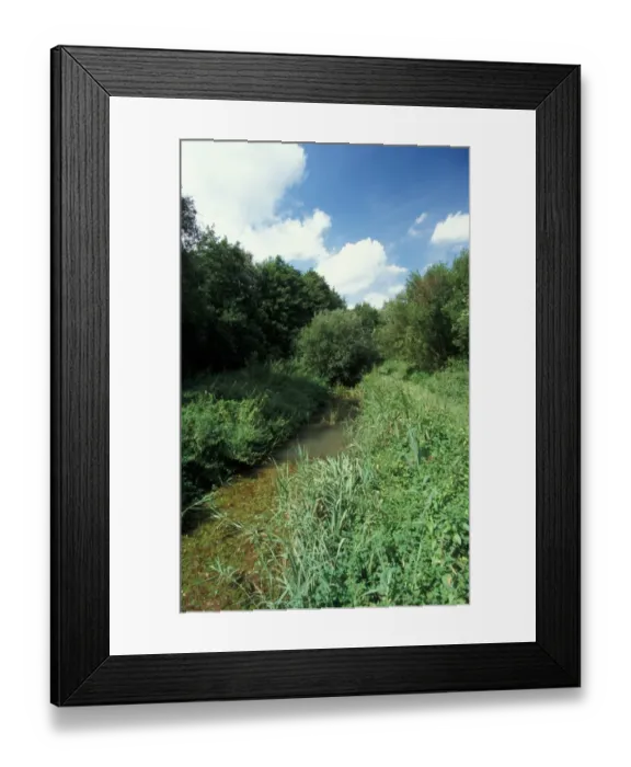 Framed Print : Conservation - Reserves - Little Ouse River bordering Thelnetham Fen, Suffolk Wildlife Trust Framed Print : Conservation - Reserves - Little Ouse River bordering Thelnetham Fen, Suffolk Wildlife Trust