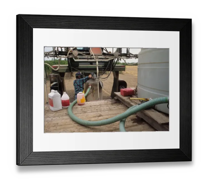 Framed Print : Worker wearing protective mask, mixing pesticides for spraying shrubs at nursery, Northwest Oregon, U. S. A Framed Print : Worker wearing protective mask, mixing pesticides for spraying shrubs at nursery, Northwest Oregon, U. S. A