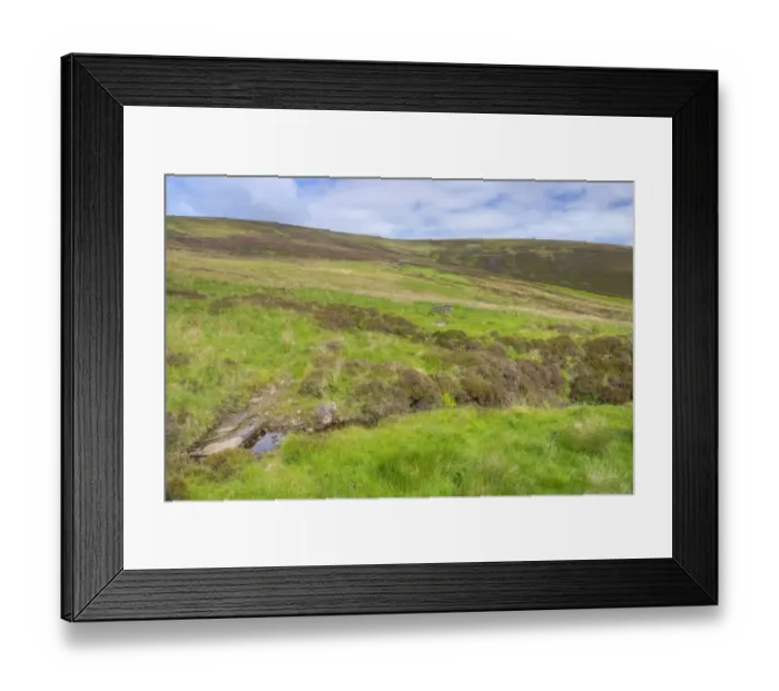 Framed Print : View of moorland habitat, Cottascarth and Rendal Moss RSPB Reserve, Mainland, Orkney, Scotland, june