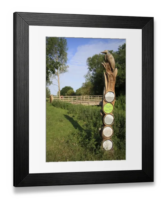 Framed Print : Wooden sculpture and information signpost, near bridge over river in fen habitat, Little Ouse Headwaters Project Framed Print : Wooden sculpture and information signpost, near bridge over river in fen habitat, Little Ouse Headwaters Project