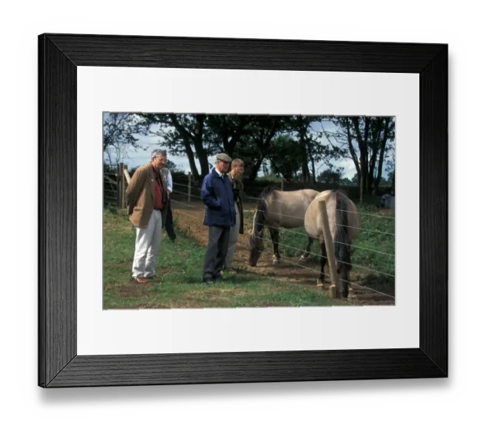 Framed Print : Reserves Prince Philip, Derek Moore & Marek Borkowski looking at Konik Horses Framed Print : Reserves Prince Philip, Derek Moore & Marek Borkowski looking at Konik Horses