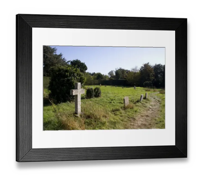 Framed Print : Cemetery of St Botolphs church Iken Suffolk, a great wildlife habitat Framed Print : Cemetery of St Botolphs church Iken Suffolk, a great wildlife habitat