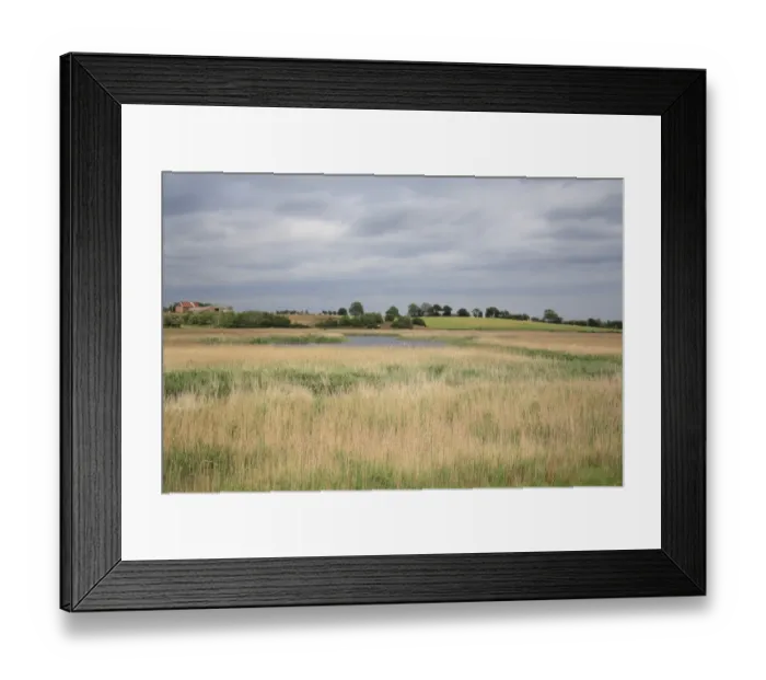 Framed Print : View over reedbed habitat towards pool, Wolsey Creek Marshes, Hen Reedbeds, Suffolk Coast N. N. R. Suffolk, England, may Framed Print : View over reedbed habitat towards pool, Wolsey Creek Marshes, Hen Reedbeds, Suffolk Coast N. N. R. Suffolk, England, may