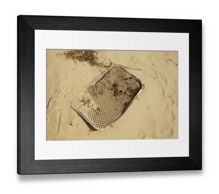 Framed Print : Disposable barbeque, litter on coastal sand dune, Studland, Dorset, England, may Framed Print : Disposable barbeque, litter on coastal sand dune, Studland, Dorset, England, may