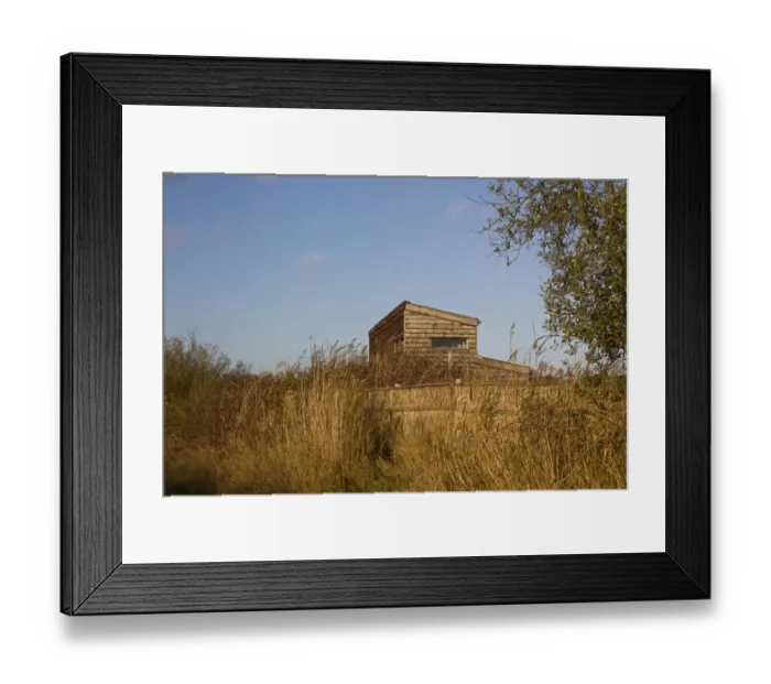 Framed Print : Hide in coastal wetland, West Hide, Minsmere RSPB Reserve, Suffolk, England, november