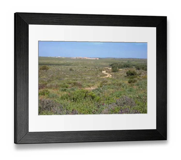 Framed Print : View across heathland habitat to farm, Costa Vicentina N. P. Algarve, Portugal, april Framed Print : View across heathland habitat to farm, Costa Vicentina N. P. Algarve, Portugal, april