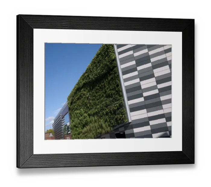 Framed Print : Living Wall System (Green Wall) growing on wall of M&S store in city, Norwich, Norfolk, England, september Framed Print : Living Wall System (Green Wall) growing on wall of M&S store in city, Norwich, Norfolk, England, september