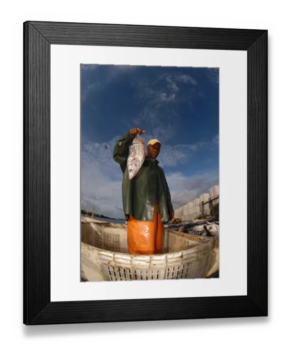 Framed Print : Tuna fisherman holding catch, caught using pole and line fishing method, Pico Island, Azores, august Framed Print : Tuna fisherman holding catch, caught using pole and line fishing method, Pico Island, Azores, august