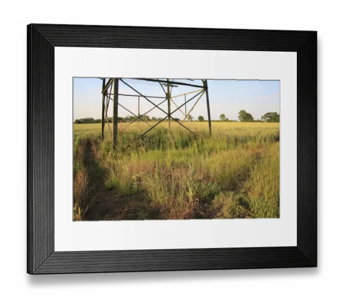 Framed Print : Electricity transmission pylon standing in arable field, with unintentional wildlife habitat underneath, Bacton Framed Print : Electricity transmission pylon standing in arable field, with unintentional wildlife habitat underneath, Bacton