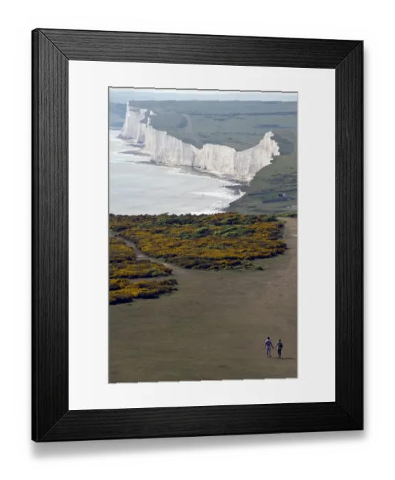 Framed Print : Beachy Head looking west over Birling Gap over gorse. This is a chalk headland on the south coast of England