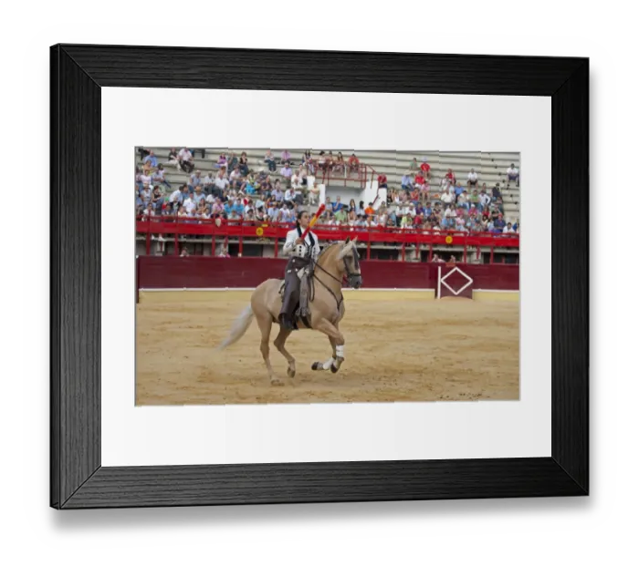 Framed Print : Bullfighting, Banderillero with banderillas, on horseback in bullring, Corrida de rejones, Medina del Campo Framed Print : Bullfighting, Banderillero with banderillas, on horseback in bullring, Corrida de rejones, Medina del Campo