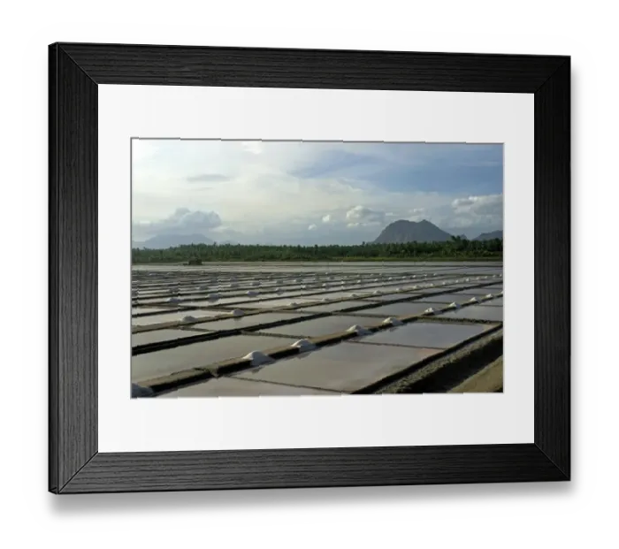 Framed Print : Salt production, view of commercial saltpans, Kanyakumari, Tamil Nadu, India Framed Print : Salt production, view of commercial saltpans, Kanyakumari, Tamil Nadu, India