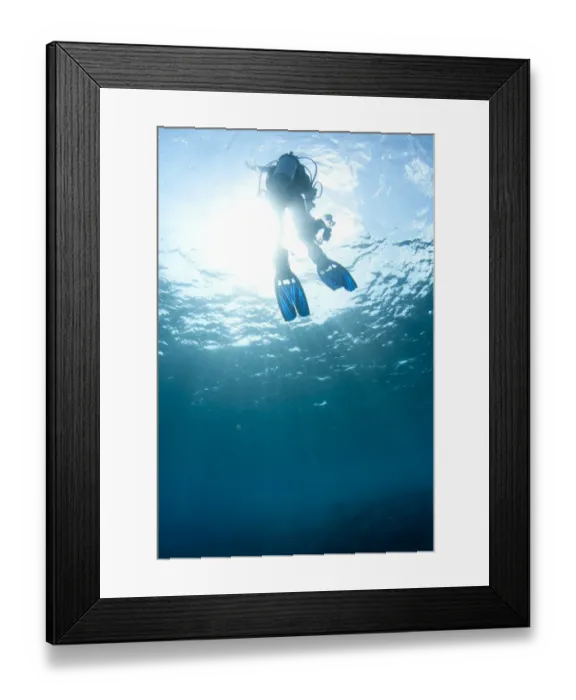 Framed Print : Diver near surface of sea, Tutuntute, Wetar Island, Barat Daya Islands, Lesser Sunda Islands, Maluku Province Framed Print : Diver near surface of sea, Tutuntute, Wetar Island, Barat Daya Islands, Lesser Sunda Islands, Maluku Province