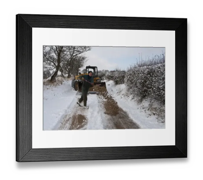 Framed Print : Farmer spreading sand from JCB 530 loader bucket, clearing snow from road for milk tanker on dairy farm, Whitewell Framed Print : Farmer spreading sand from JCB 530 loader bucket, clearing snow from road for milk tanker on dairy farm, Whitewell