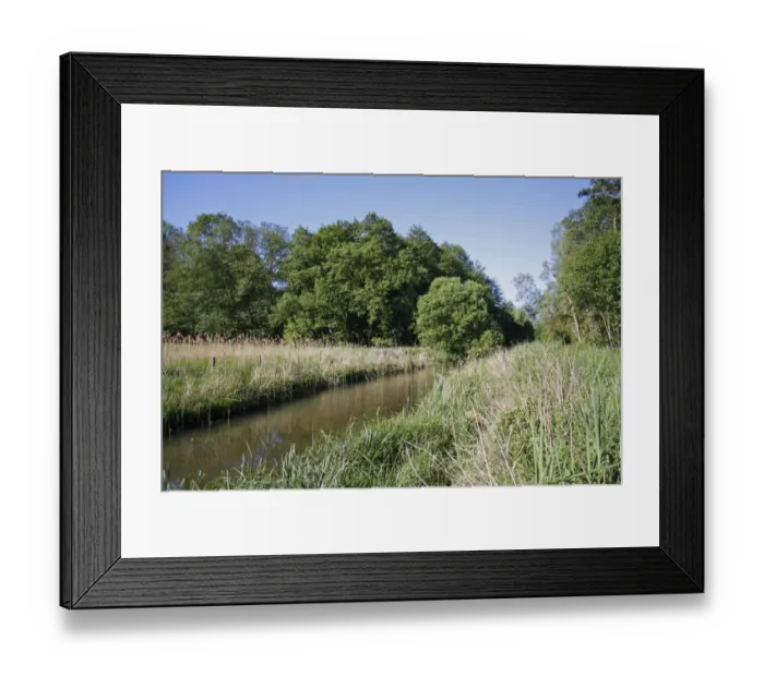 Framed Print : View of river and trees in river valley fen habitat, River Waveney, Redgrave and Lopham Fen N. N. R Framed Print : View of river and trees in river valley fen habitat, River Waveney, Redgrave and Lopham Fen N. N. R