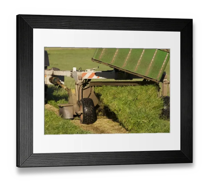 Framed Print : Mowing second cut grass with rear mounted mower conditioner, Cumbria, England, september Framed Print : Mowing second cut grass with rear mounted mower conditioner, Cumbria, England, september