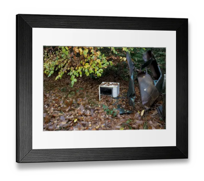 Framed Print : Dumped microwave oven and tangled car wreckage in woodland, Marsham Woods, Norfolk, England, november Framed Print : Dumped microwave oven and tangled car wreckage in woodland, Marsham Woods, Norfolk, England, november