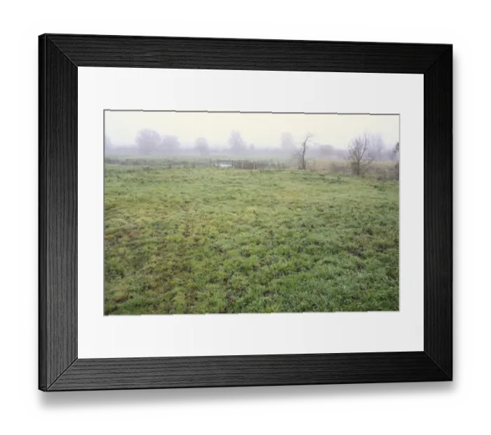 Framed Print : View of grazing marsh habitat in mist, River Black Bourn, Micklemere Reserve, Pakenham, Suffolk, England, november Framed Print : View of grazing marsh habitat in mist, River Black Bourn, Micklemere Reserve, Pakenham, Suffolk, England, november