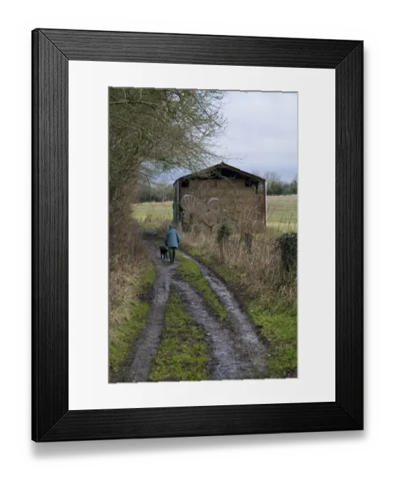 Framed Print : Muddy farm track with person walking dog, near barn with straw bales, Dorset, England, january Framed Print : Muddy farm track with person walking dog, near barn with straw bales, Dorset, England, january