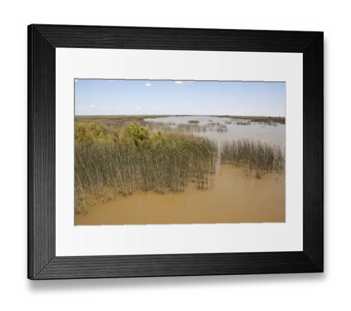 Framed Print : The Marshalnd of the Coto Donana Framed Print : The Marshalnd of the Coto Donana
