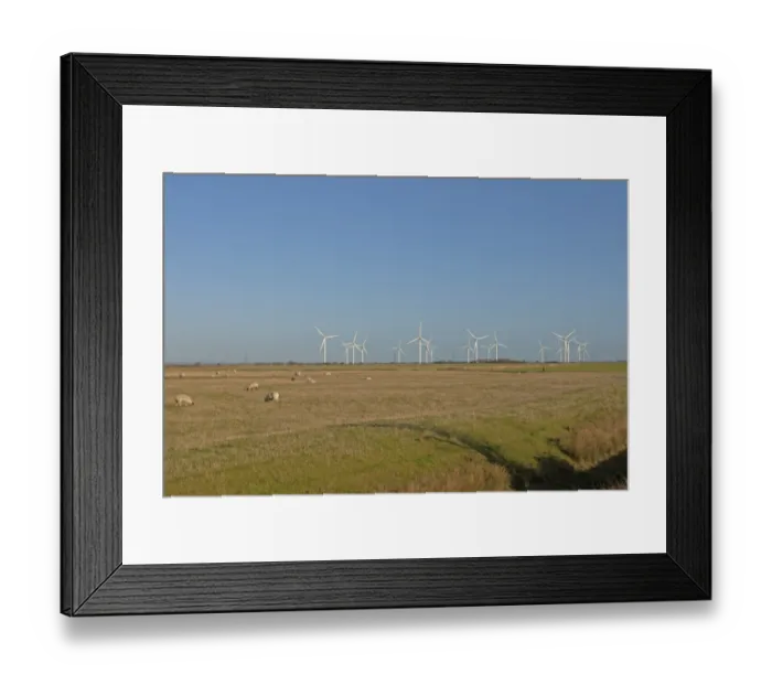 Framed Print : Wind turbines in grazing marsh habitat with sheep flock, Romney Marsh, Kent, England, december