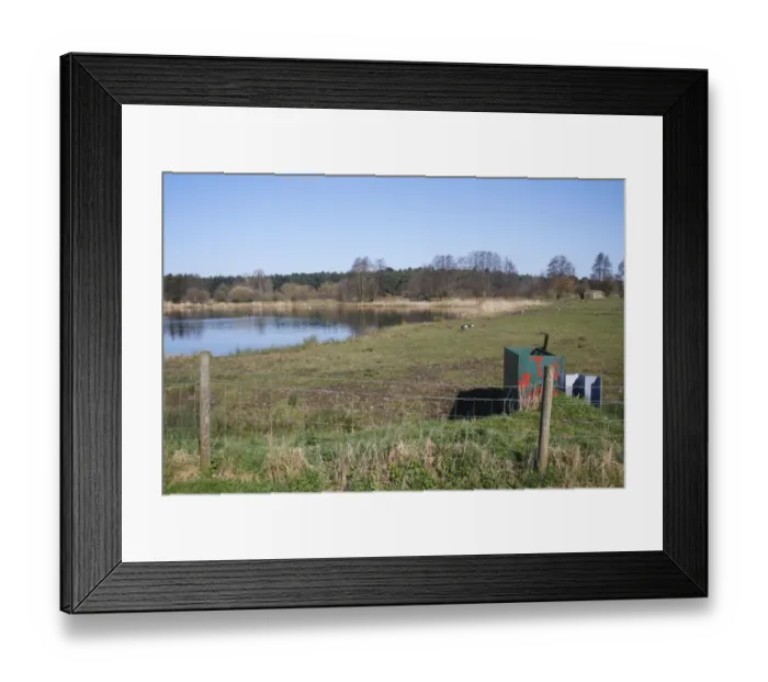 Framed Print : View of flooded former gravel pit habitat, Plover Lake, Lackford Lakes Nature Reserve, Suffolk, England, march Framed Print : View of flooded former gravel pit habitat, Plover Lake, Lackford Lakes Nature Reserve, Suffolk, England, march