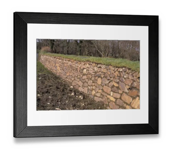 Framed Print : Cornish Hedge, newly constructed earth bank faced with stones, Stithians, Cornwall, England Framed Print : Cornish Hedge, newly constructed earth bank faced with stones, Stithians, Cornwall, England
