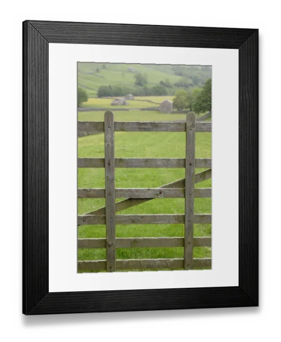 Framed Print : Wooden gate in foreground, with stone barns and drystone walls on hillside in background, Swaledale Framed Print : Wooden gate in foreground, with stone barns and drystone walls on hillside in background, Swaledale