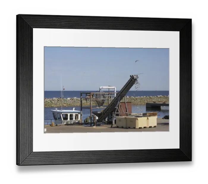 Framed Print : Unloading catch from fishing boat at harbour, Hailuoto Island, Oulu, Finland Framed Print : Unloading catch from fishing boat at harbour, Hailuoto Island, Oulu, Finland
