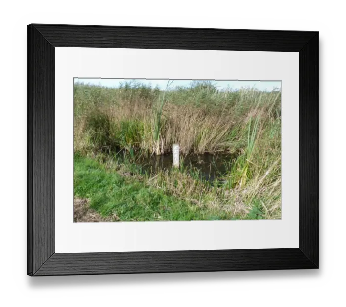 Framed Print : Water depth gauge in reedbed -Minsmere nature reserve Suffolk Framed Print : Water depth gauge in reedbed -Minsmere nature reserve Suffolk
