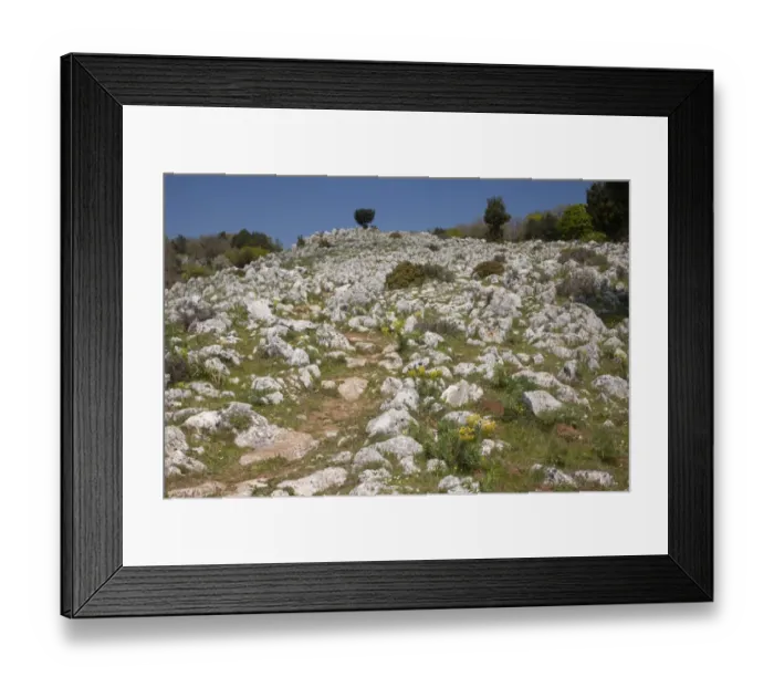 Framed Print : Footpath through limestone pavement habitat, Monte Sacro, Gargano Peninsula, Apulia, Italy, april Framed Print : Footpath through limestone pavement habitat, Monte Sacro, Gargano Peninsula, Apulia, Italy, april