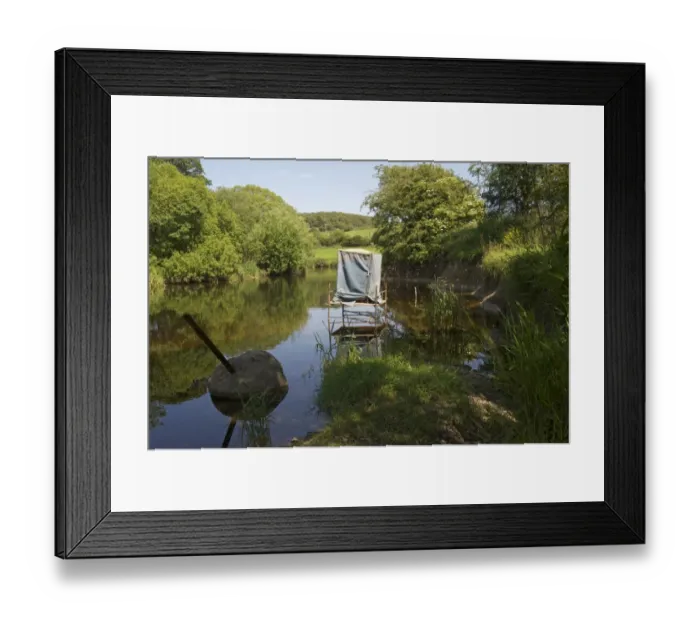 Framed Print : Nature photography hide for kingfisher in river, River Urr, Dalbeattie, Dumfries and Galloway, Scotland, july Framed Print : Nature photography hide for kingfisher in river, River Urr, Dalbeattie, Dumfries and Galloway, Scotland, july