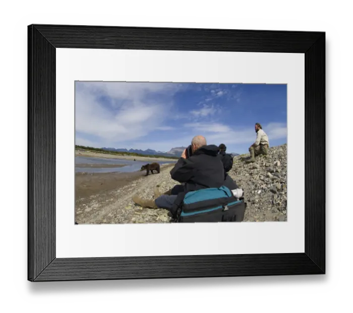 Framed Print : Guide with tourists watching Grizzly Bear (Ursus arctos horribilis) at edge of coastal creek, Hallo Bay, Katmai N. P Framed Print : Guide with tourists watching Grizzly Bear (Ursus arctos horribilis) at edge of coastal creek, Hallo Bay, Katmai N. P