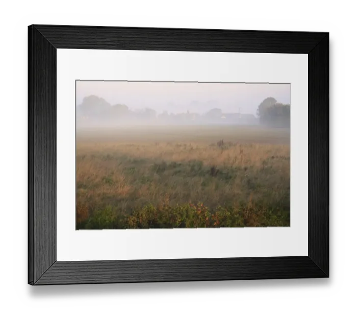 Framed Print : Permanent set-a-side and cultivated arable field in mist at dawn, Bacton, Suffolk, England, september Framed Print : Permanent set-a-side and cultivated arable field in mist at dawn, Bacton, Suffolk, England, september