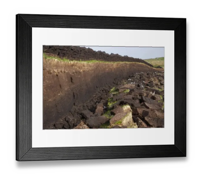 Framed Print : Peat extraction, seam cut through bog with recently cut blocks, Unst, Shetland Islands, Scotland