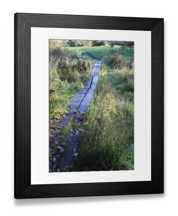 Framed Print : Boardwalk over wet ground at edge of heathland, in valley fen reserve, Market Weston Fen, Market Weston, Suffolk