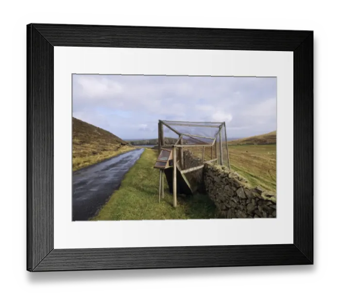 Framed Print : Heligoland trap, used to trap birds for ringing, Fair Isle, Shetland Islands, Scotland Framed Print : Heligoland trap, used to trap birds for ringing, Fair Isle, Shetland Islands, Scotland