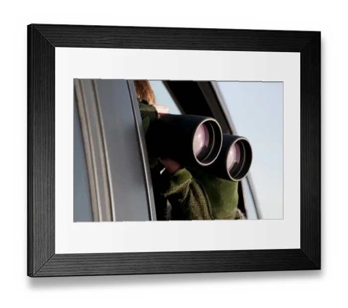 Framed Print : Person looking at wildlife through binoculars from inside car, Norfolk, England, december Framed Print : Person looking at wildlife through binoculars from inside car, Norfolk, England, december