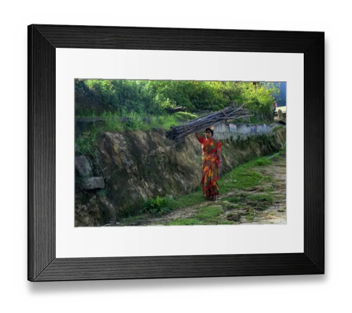 Framed Print : Woman carrying firewood logs on head, Vattavada, Western Ghats, Kerala, India