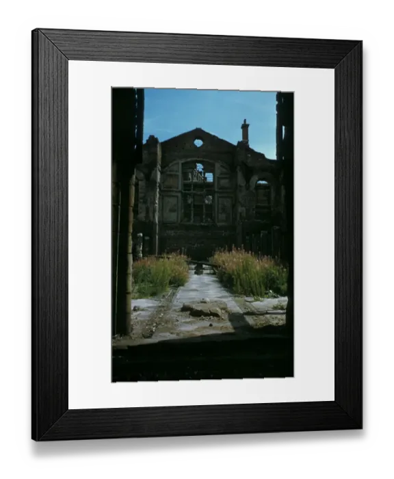 Framed Print : Rosebay Willowherb Epilobium augustifolium growing in the bombed ruins of St Andrews Church London EC 1946 Framed Print : Rosebay Willowherb Epilobium augustifolium growing in the bombed ruins of St Andrews Church London EC 1946