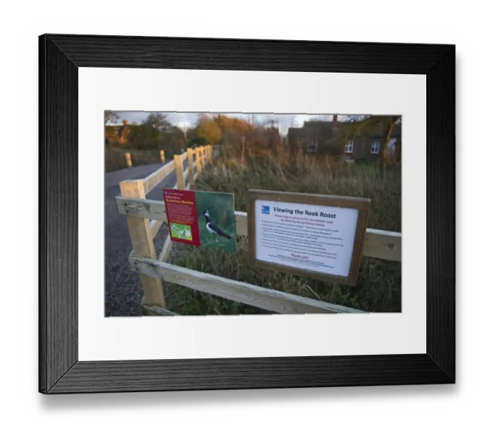 Framed Print : Viewing the Rook Roost guidelines sign, Buckenham Marshes RSPB Reserve, Yare Valley, Norfolk, England, december Framed Print : Viewing the Rook Roost guidelines sign, Buckenham Marshes RSPB Reserve, Yare Valley, Norfolk, England, december