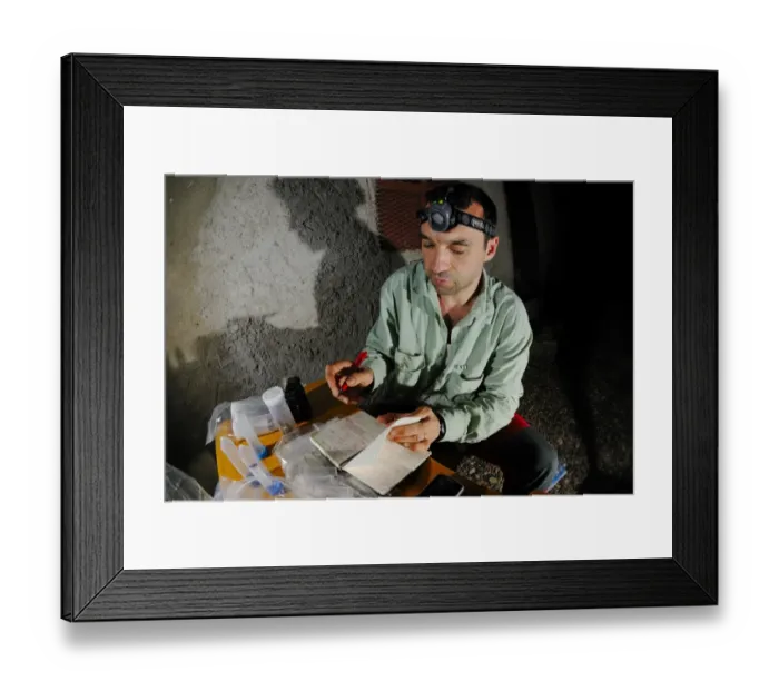 Framed Print : Researcher cataloguing lizard specimens for DNA analysis, Socotra, Yemen, march Framed Print : Researcher cataloguing lizard specimens for DNA analysis, Socotra, Yemen, march