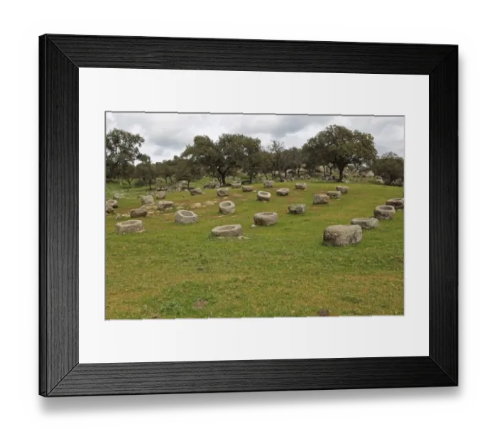 Framed Print : Granite bull feeders or comederos in dehesa habitat, Sierra de Andujar, Jaen, Andalucia, Spain, march Framed Print : Granite bull feeders or comederos in dehesa habitat, Sierra de Andujar, Jaen, Andalucia, Spain, march