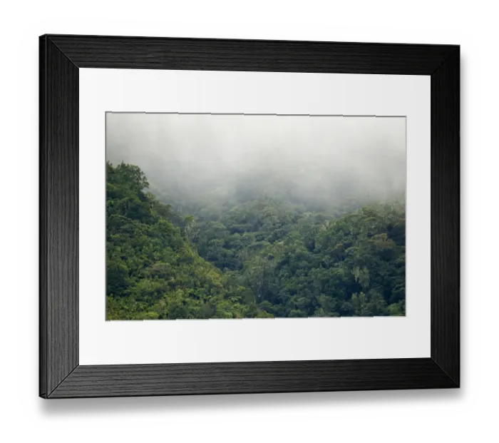 Framed Print : Forest habitat on slopes of inactive volcano, Mount Kitanglad, Kitanglad Mountain Range, Mindanao Island, Philippines Framed Print : Forest habitat on slopes of inactive volcano, Mount Kitanglad, Kitanglad Mountain Range, Mindanao Island, Philippines