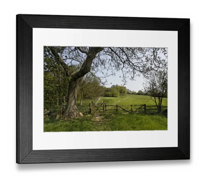 Framed Print : View of gateway at edge of grassland and woodland, Coombes Valley RSPB Reserve, Staffordshire, England, april Framed Print : View of gateway at edge of grassland and woodland, Coombes Valley RSPB Reserve, Staffordshire, England, april